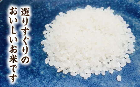 おいしい！亀山・白川産コシヒカリ 5kg 亀山市/せせらぎの里営農組合 お米 コシヒカリ 送料無料[AMAX003]