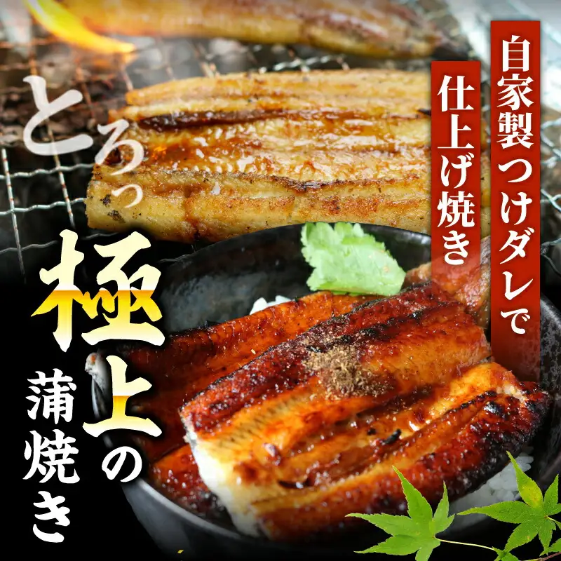 【通常用】極上国産うなぎ四万十桜 白焼き 約140g×2尾 完全無投薬白焼き