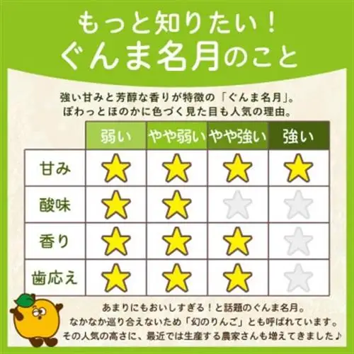 【11月~12月出荷】平均糖度13度以上! ぐんま名月 約10kg 訳あり 青森県産りんご_果物・フルーツ りんご  リンゴ 林檎_【配送不可地域：離島・沖縄県】【1609635】