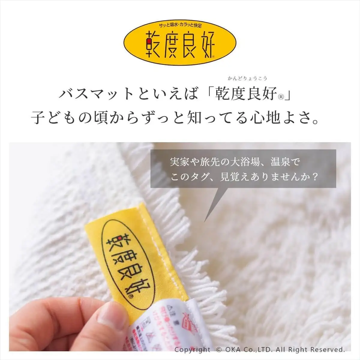 乾度良好 Dナチュレ バスマット 約36×55cm グレー 吸水速乾 裏面すべり止め加工 抗菌防臭 洗える 足拭きマット