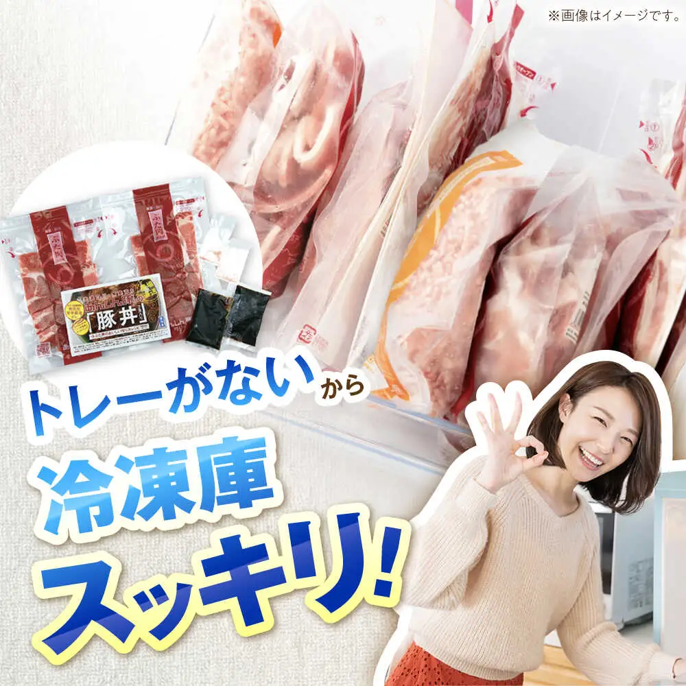 【6回定期便】豚丼セット計6人前 藤井ファーム[AWAF014]