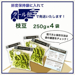 晩酌のお供におすすめ！ 晩酌茶豆 1kg 【 数量限定 1kg 晩酌茶豆 茶豆 枝豆 先行予約 新潟産 ビール 株式会社せいだ 新潟県 新発田市 seida022 】