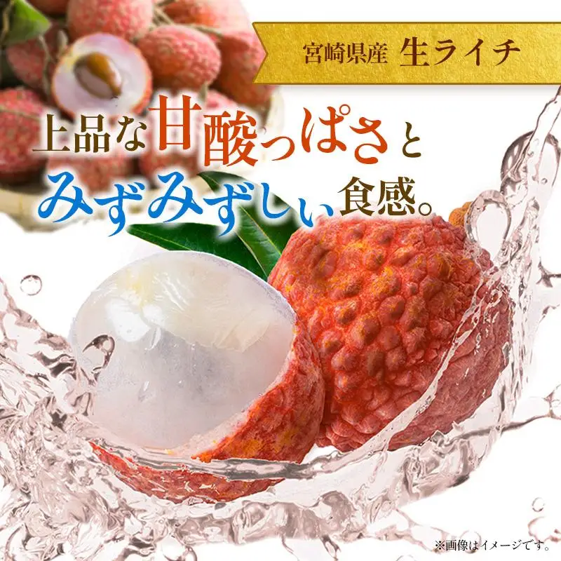 ＜2027年発送＞＜訳あり＞ 完熟 マンゴー 約1kg ＆ 生ライチ 300g 果物 フルーツ 宮崎県産 特産 セット