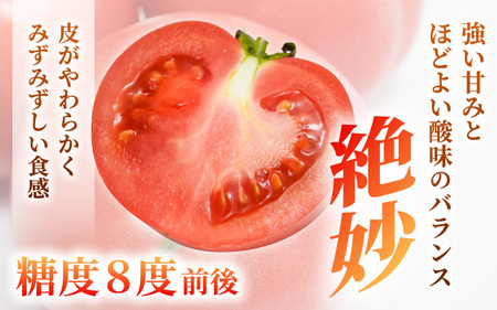 越のルビー (ミディトマト) 約1kg (25～35個程度) 2027年6月上旬以降発送 [A-19209]