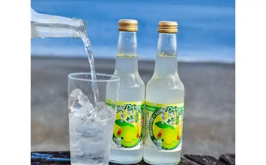 新姫サイダー250ml×9本入【frsn0026A】