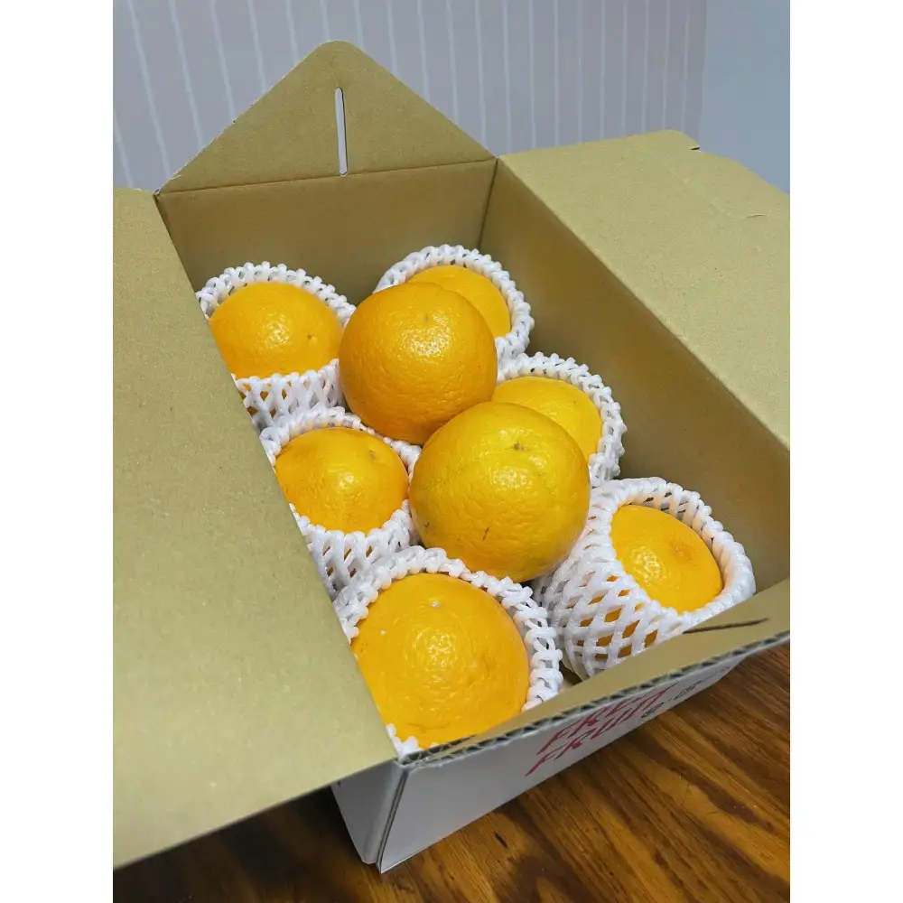 国産 バレンシアオレンジ 約2kg M～LLサイズ 山下農園