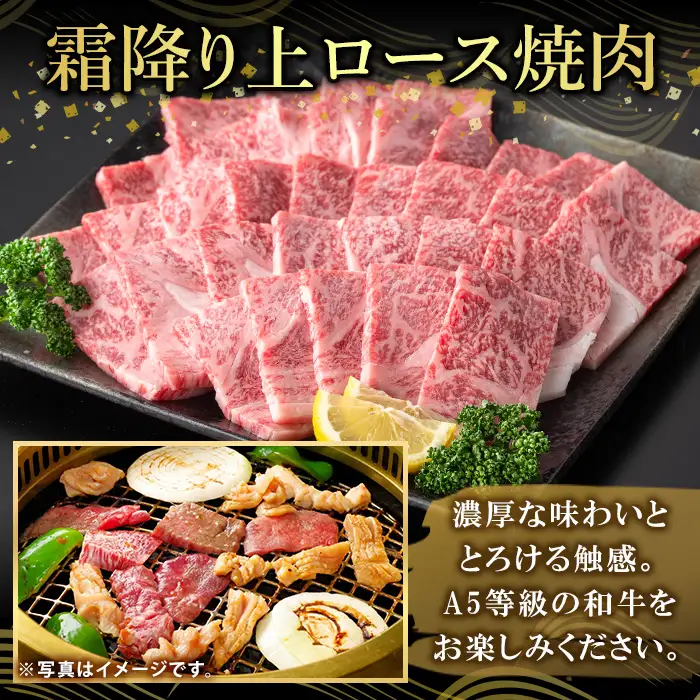 K-482-B 鹿児島県産A５等級黒毛和牛霜降り上ロース焼肉(計500g)【ふるさと産直バザール】霧島市 牛肉 国産 鹿児島県産 ロース 焼肉 肉 精肉
