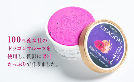 養本社のドラゴンフルーツジェラート　6個入 お菓子｜果物 フルーツ 旬 採れたて お取り寄せ お取り寄せグルメ デザート スイーツ おやつ 贈答用 贈り物 ギフト プレゼント 