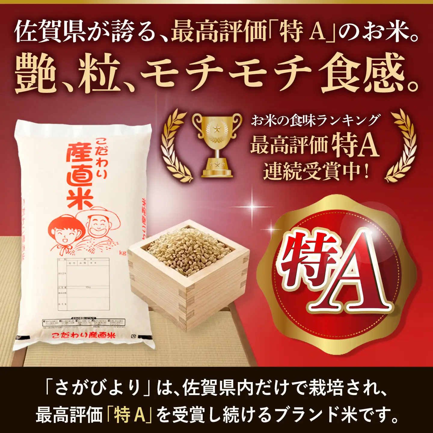 【令和8年産 新米先行受付】さがびより 玄米 10kg【12ヶ月定期便】(H061E01)