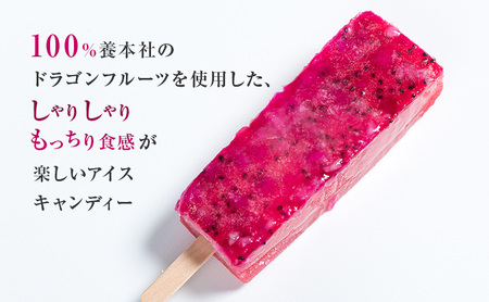 養本社のドラゴンフルーツくずアイス　10本入り お菓子 ｜アイス デザート スイーツ おやつ 贈答用 贈り物 ギフト プレゼント