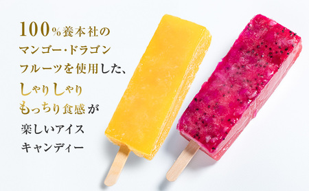 養本社のマンゴー・ドラゴンフルーツ　くずアイスセット　2種類×各5本 お菓子 ｜デザート スイーツ 贈り物 ギフト プレゼント
