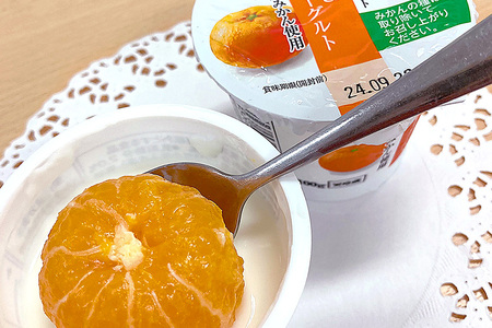 【2回定期便】まるごとみかんヨーグルト 100g×10個 ヨーグルト みかん まるごと 定期便 朝食 朝ごはん 朝活 乳製品 低糖 低カロリー ギフト 誕生日 内祝い スイーツ 腸活 善玉菌 善玉菌ケア 菌活 乳酸菌 1-S