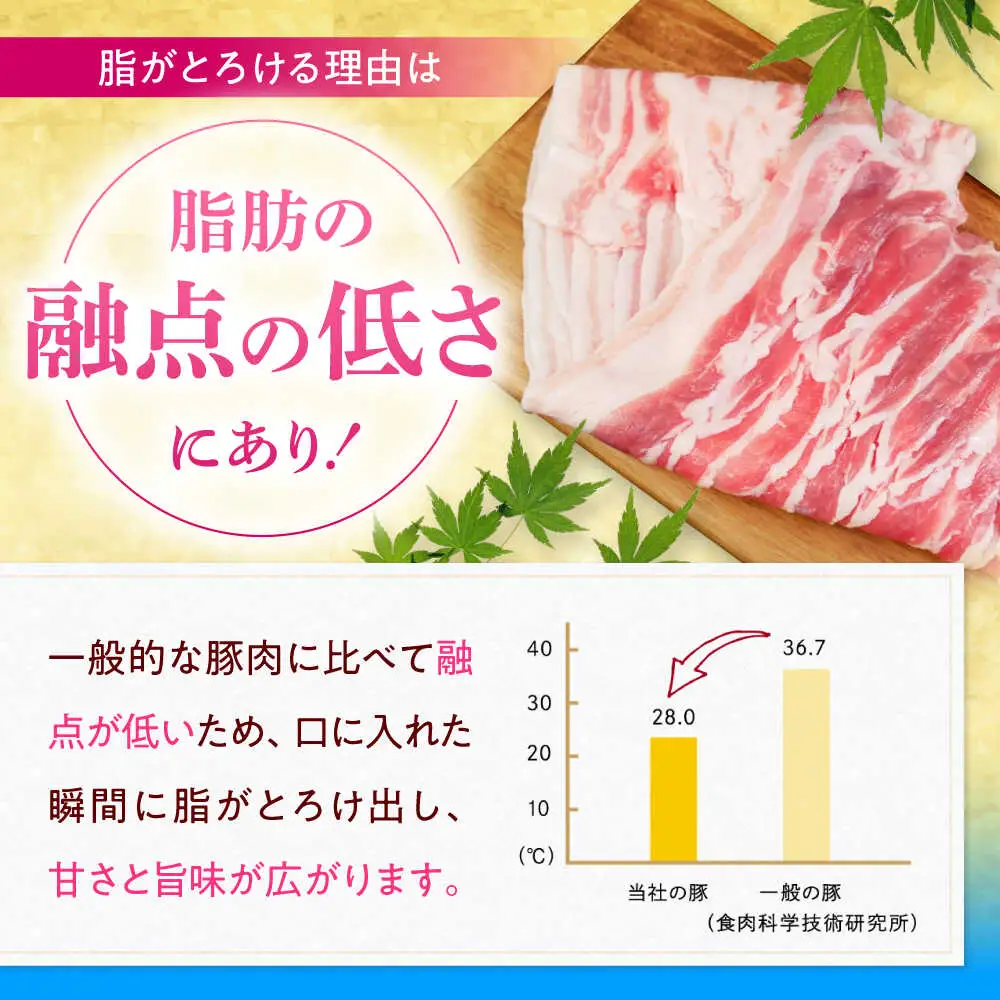【高級部位】 ヒレ肉 3本入り 豚肉 BCAJ012