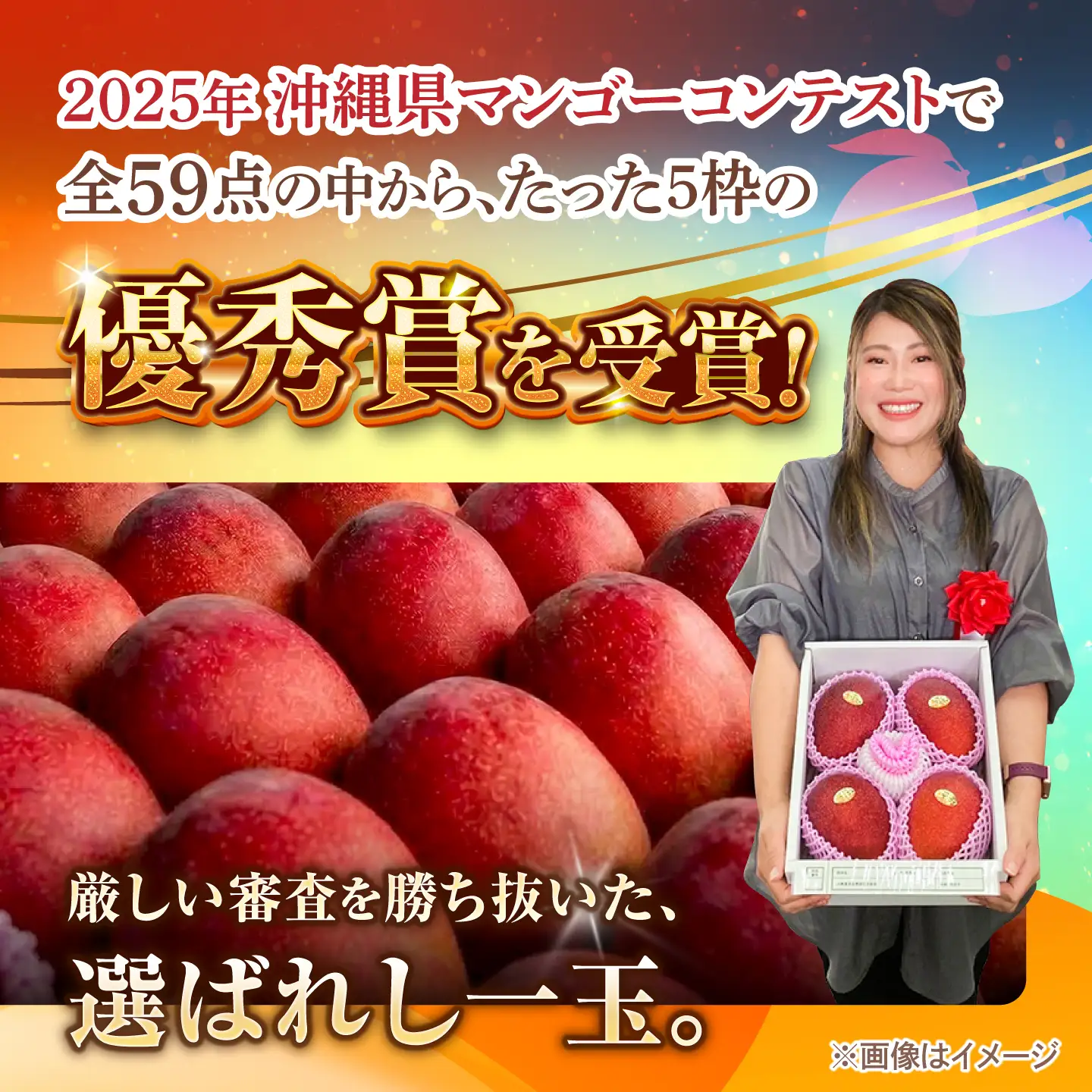マンゴー 訳あり 約1kg マンゴー 沖縄 BCAN003
