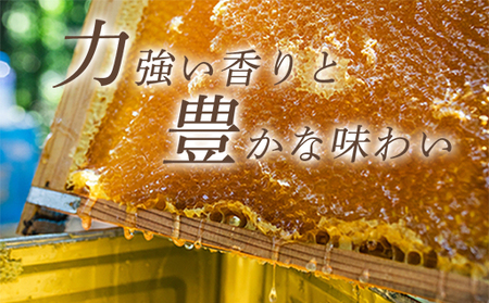 純粋天然 百花はちみつ 600g×2本