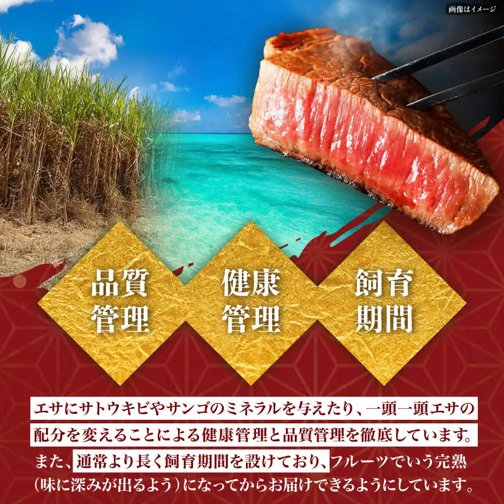 牛肉 ステーキ 【全3回定期便】佐渡山牛 500g 和牛 BCBC005