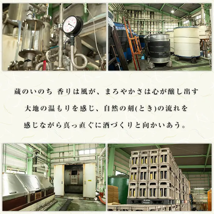 安心院蔵スリムパック(計5.4L・900ml×6本)酒 お酒 むぎ焼酎 麦焼酎 こだわり アルコール 飲料 常温【100100700】【縣屋酒造】
