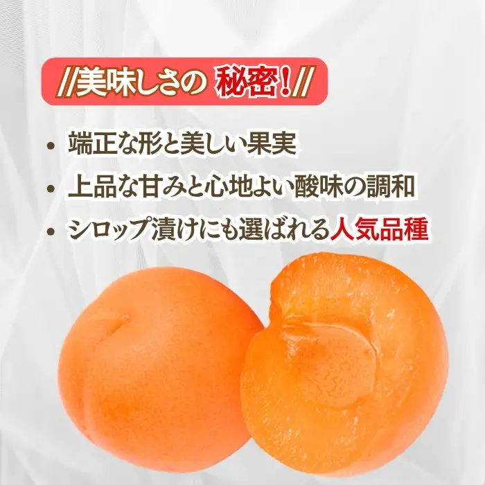 【2027年先行予約】生食用あんず信山丸 バラ詰め約2kg| あんず