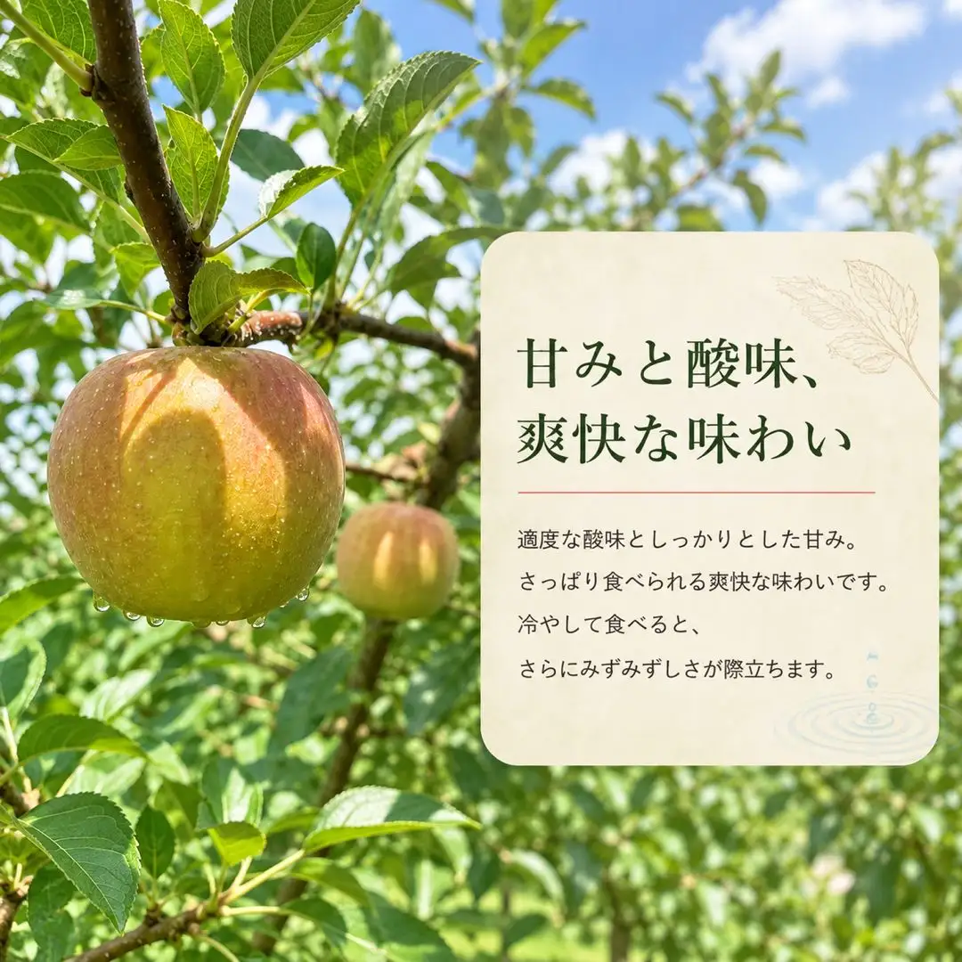 【2027年先行予約】りんご シナノリップ 約2kg｜ りんご