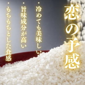 D567 農家直送！山口市産新米「恋の予感」精米10kg