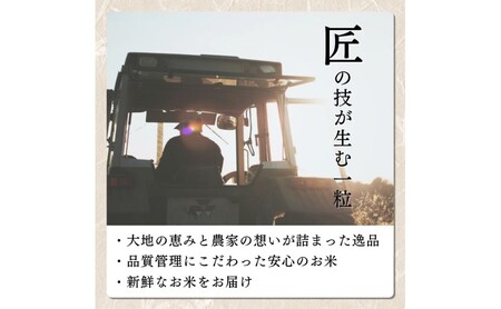 【令和8年10月配送】新米予約 コシヒカリ 5kg コシヒカリ 新潟県
