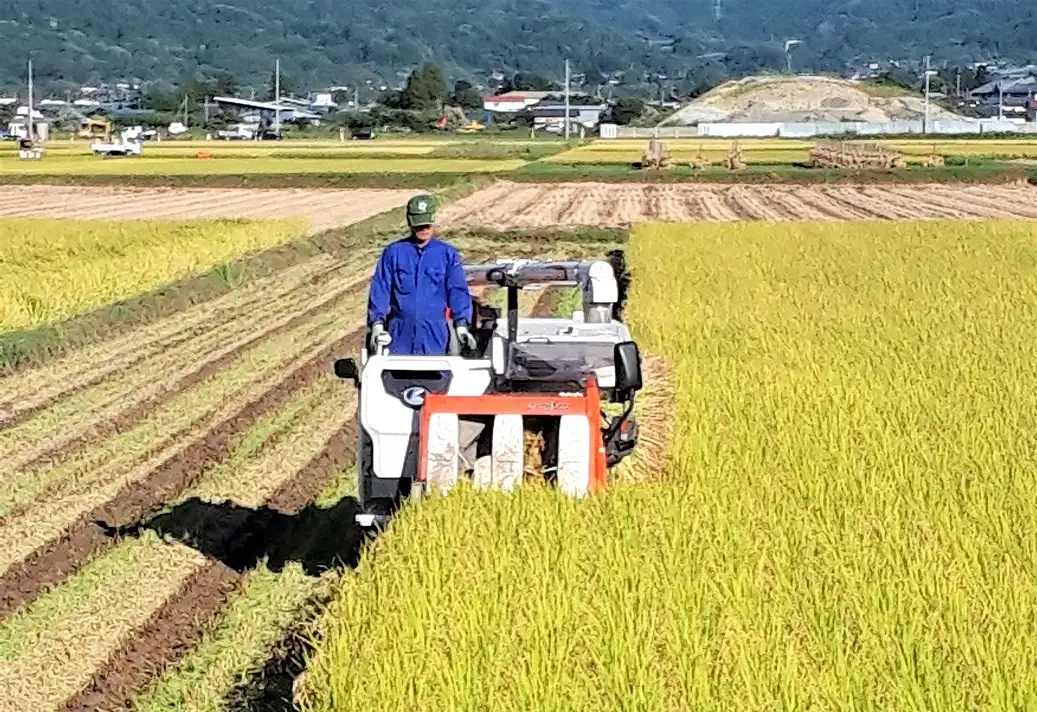 【２０２６年９月中旬～発送】令和８年産　ひとめぼれ（玄米）１０ｋｇ　0056-2626