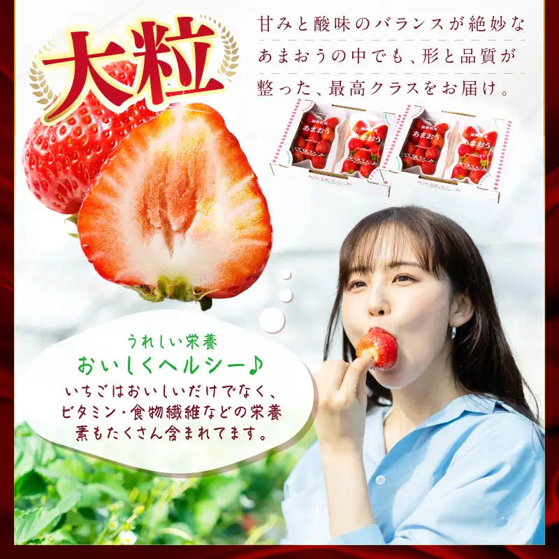 【2027年先行予約】あまおうデラックス(2パック)【044-0074】