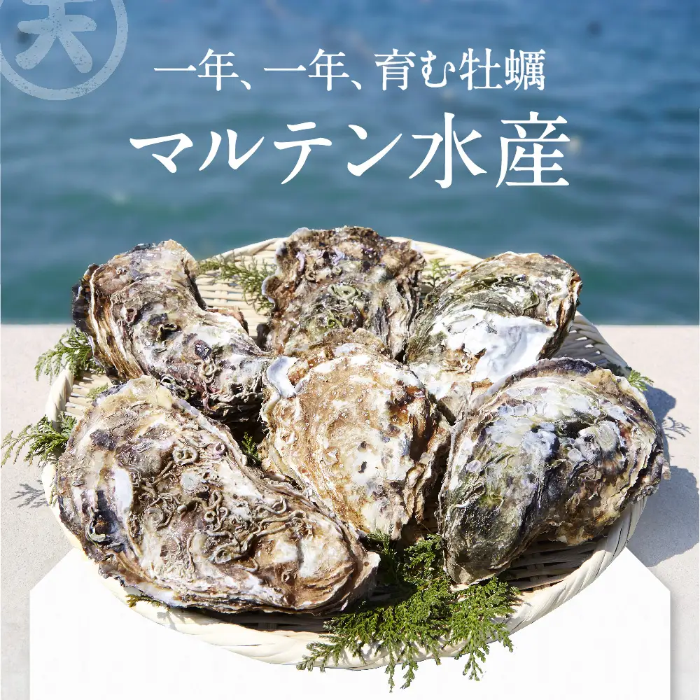 【先行予約】 訳あり 牡蠣 殻付き牡蠣 約3kg 【 三陸産 旬 産地直送 】