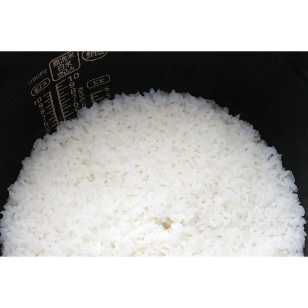 玄米全粒粉が奏でるひとさじの魔法 100g×10｜玄米