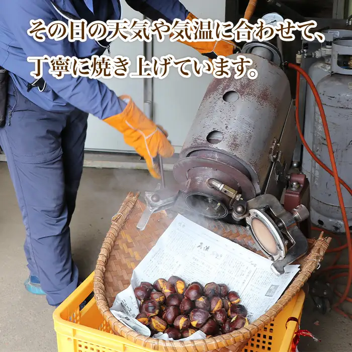 619 茨城県産焼き栗 3kg(300g×10個入)【ウエノファーム】