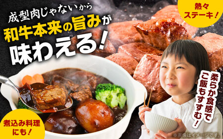 【訳あり】しまね和牛サイコロステーキ 800g ／ サイコロステーキ[AIDQ003]