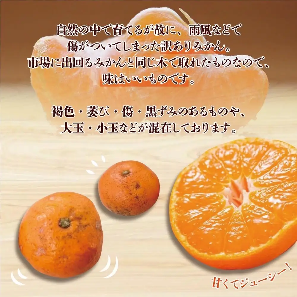 【訳あり】和歌山みかん約9.5kg+補償分約500g サイズ混合 11月より順次発送 訳ありみかん 【red1】