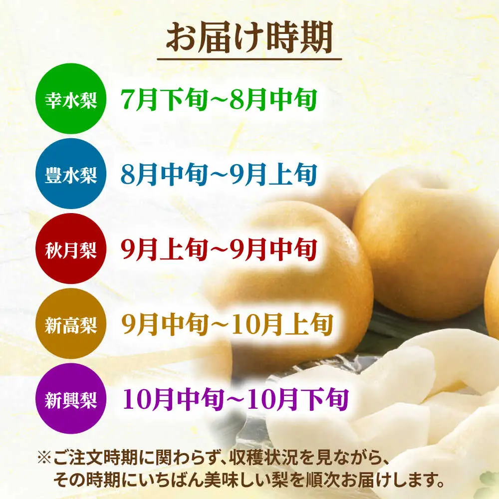 日田梨 約10kg 旬の梨 なし 果物 [ARET009]