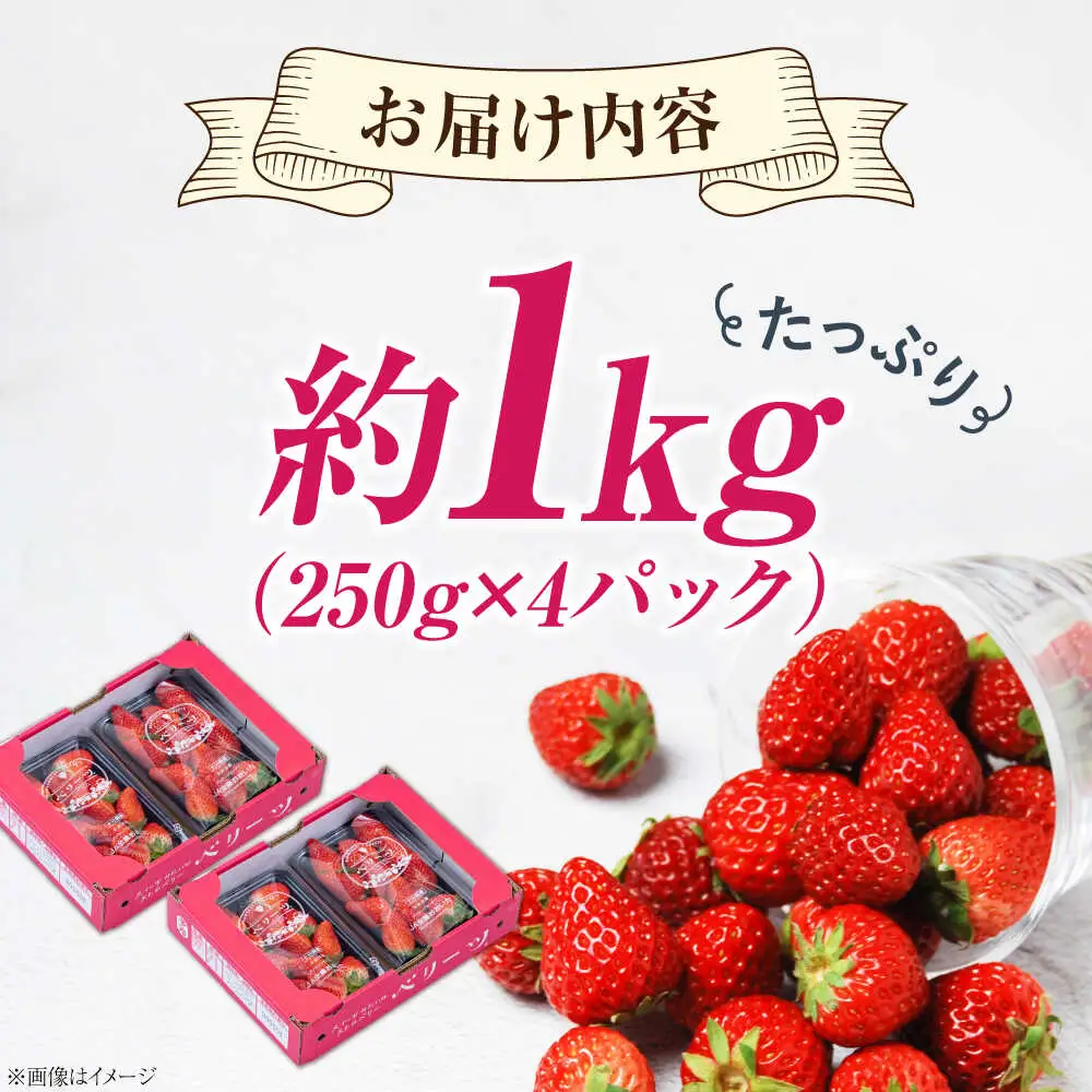 先行予約 ベリーツ 4pc いちご [ARET010] いちご