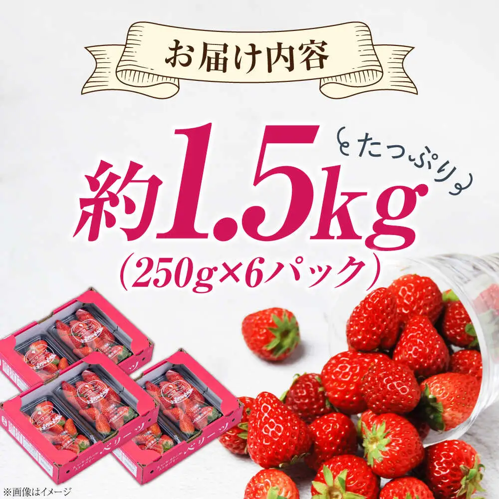 先行予約 大分産 ベリーツ 6pc 苺 ARET011 いちご べりーつ