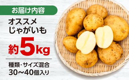 じゃがいも 5kg CGM003 じゃがいも おまかせ