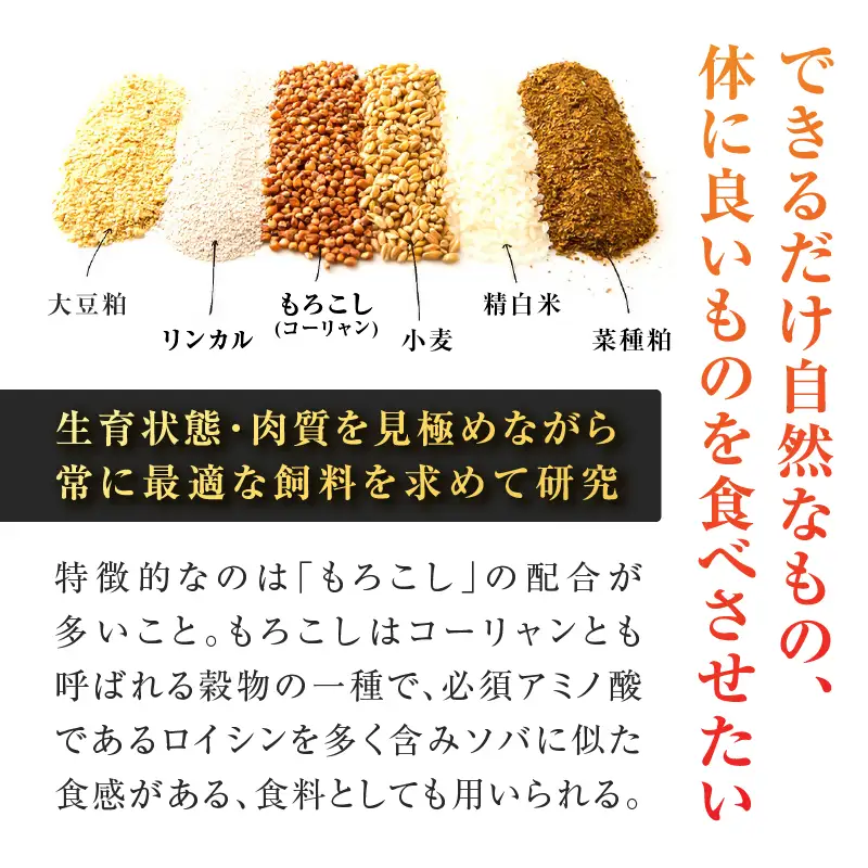 鹿児島うんまか 豚 生餃子 9パック（ 餃子 108個入り・ タレ付 ） K005-003_02 肉 豚肉 惣菜 総菜 冷凍