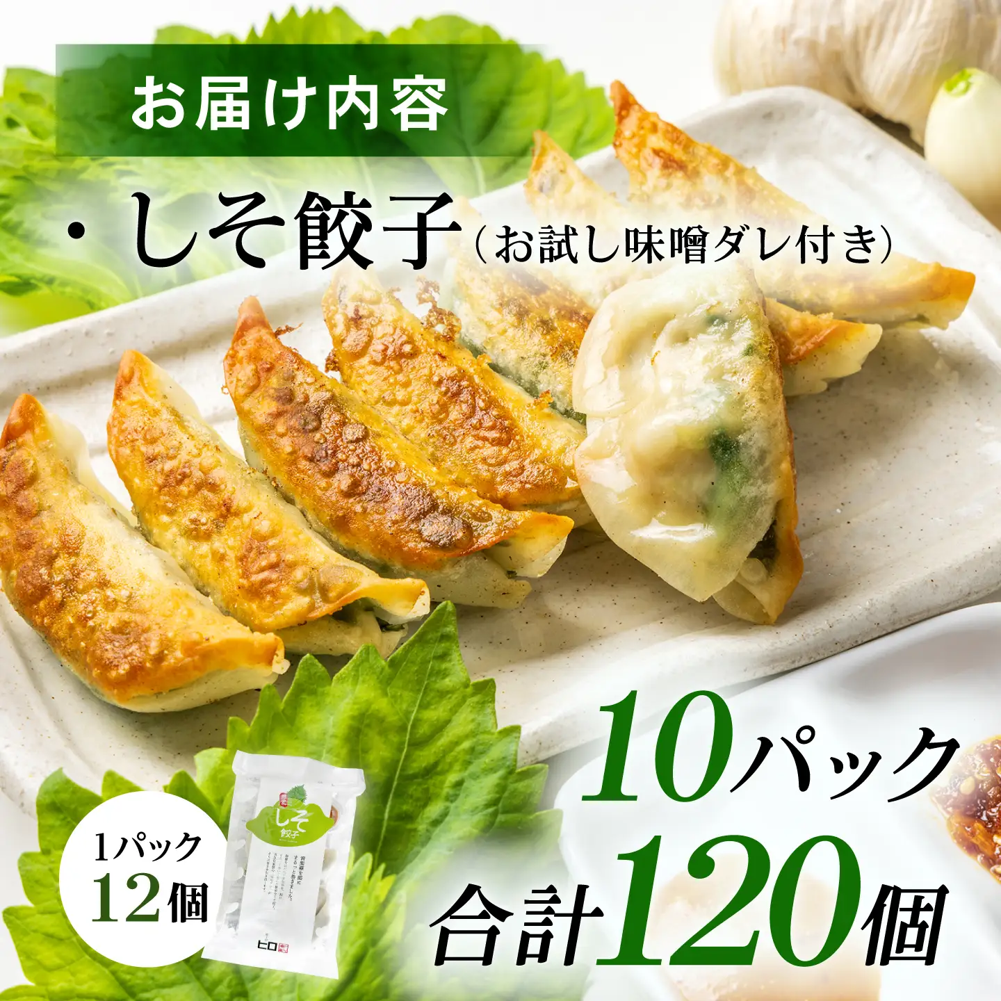 【10パック】餃子屋ヒロの 人気のしそ餃子 ぎょうざ[BDAS003-4]
