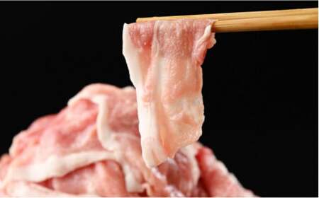 【定期便3ヶ月】和豚もちぶた 切り落し4キロセット（400g×10パック） ｜ 豚肉※着日指定不可