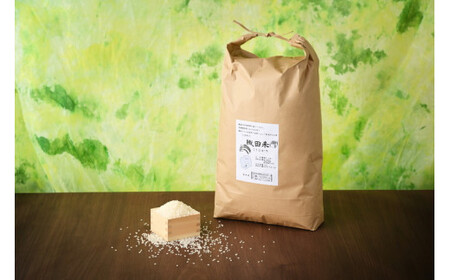 【限定35セット】令和4年産お米5kg 農薬不使用 栃木県産コシヒカリ 白米 おこめ 米 国産