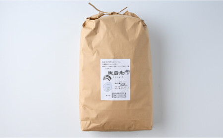 令和6年産 新米 無農薬「コシヒカリ」10kg お米 こしひかり 栃木県壬生町
