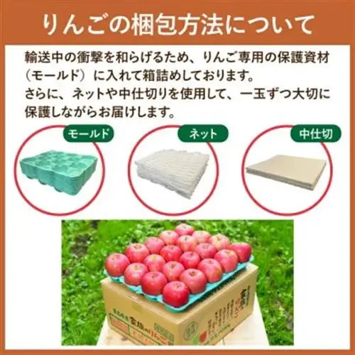 【11月～翌年1月まで出荷予定】青森県産りんご サンふじ 約5kg 贈答用 平均糖度13度以上!_果物・フルーツ りんご  リンゴ 林檎_【配送不可地域：離島・沖縄県】【1612829】