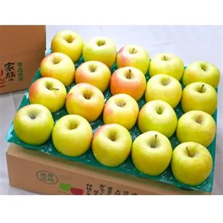 【27年2月出荷予定】平均糖度13度以上! ぐんま名月 約5kg おもてなし用_果物・フルーツ りんご  リンゴ 林檎_【配送不可地域：離島・沖縄県】【1612885】