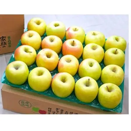【27年1月出荷予定】平均糖度13度以上! ぐんま名月 約5kg おもてなし用_果物・フルーツ りんご  リンゴ 林檎_【配送不可地域：離島・沖縄県】【1612891】