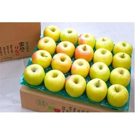 【26年11月~翌年3月出荷】平均糖度13度以上! ぐんま名月 約5kg 訳あり りんご 青森県産_果物・フルーツ りんご  リンゴ 林檎_【配送不可地域：離島・沖縄県】【1612893】