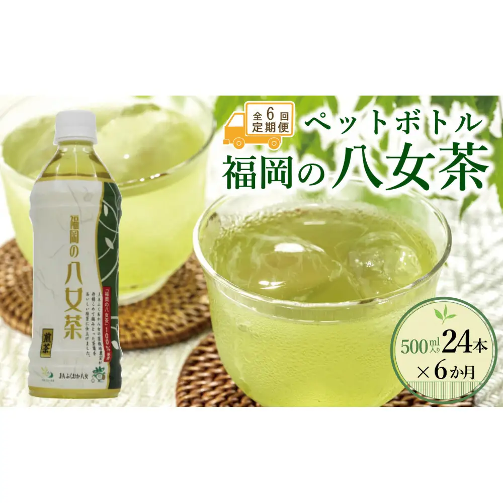 【全6回毎月定期便】八女茶 煎茶ペットボトル 500ml×24本