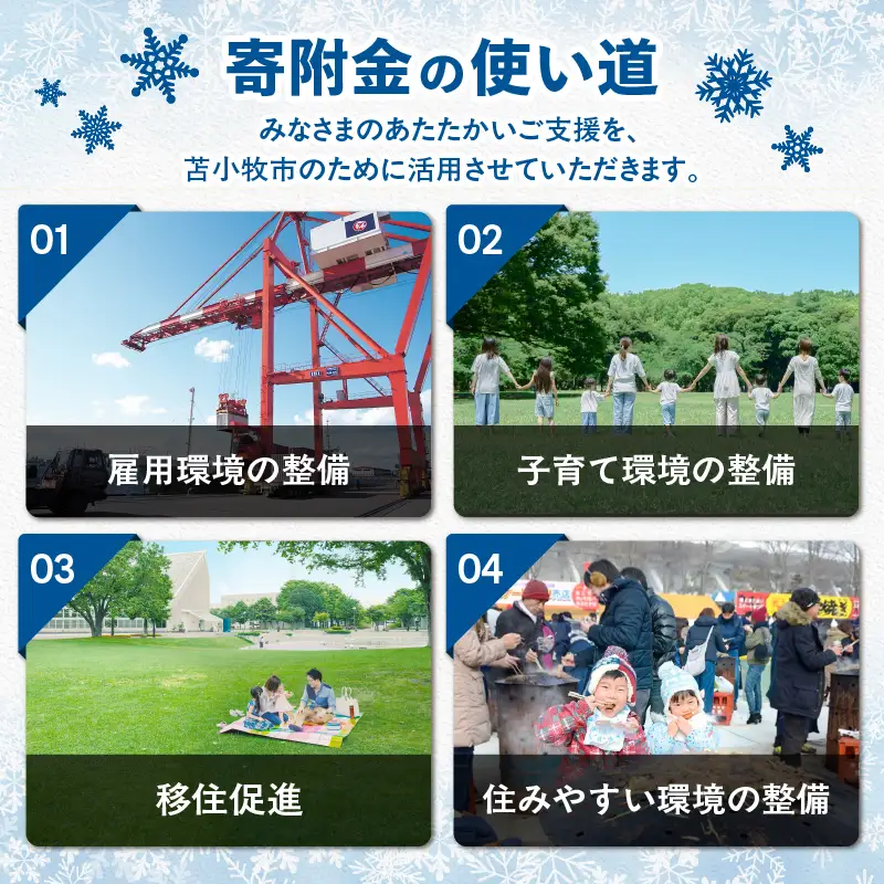 北海道 苫小牧市 応援寄附金 （ 返礼品なし ） 5,000円 T000-001-02 応援 返礼品無