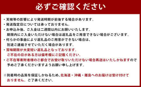 ＜ R8年熊本地震復興支援 ＞小玉 すいか 1玉入り 約1.5kg以上 スイカ 西瓜 果物 フルーツ 【2027年4月下旬～7月下旬迄発送予定】