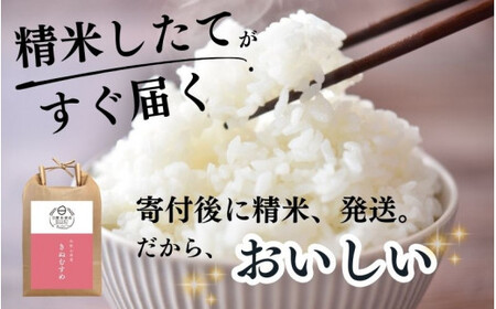 和歌山県産の お米 きぬむすめ 10kg (5kg×2袋) 〈令和6年度産〉 産地直送 / 米 こめ ご飯 ごはん 白米 国産 和歌山県産 小分け【hio104B】