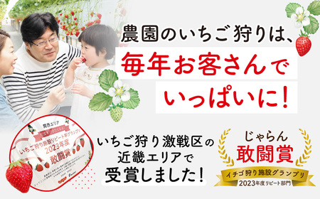 いちご農家の贅沢いちごづくしアイスキャンデー8本セット（いちご・いちごミルク）湖東こぐま農園 滋賀県 東近江市 A-B28 アイス アイスキャンデー 詰め合わせ ギフト スイーツ デザート